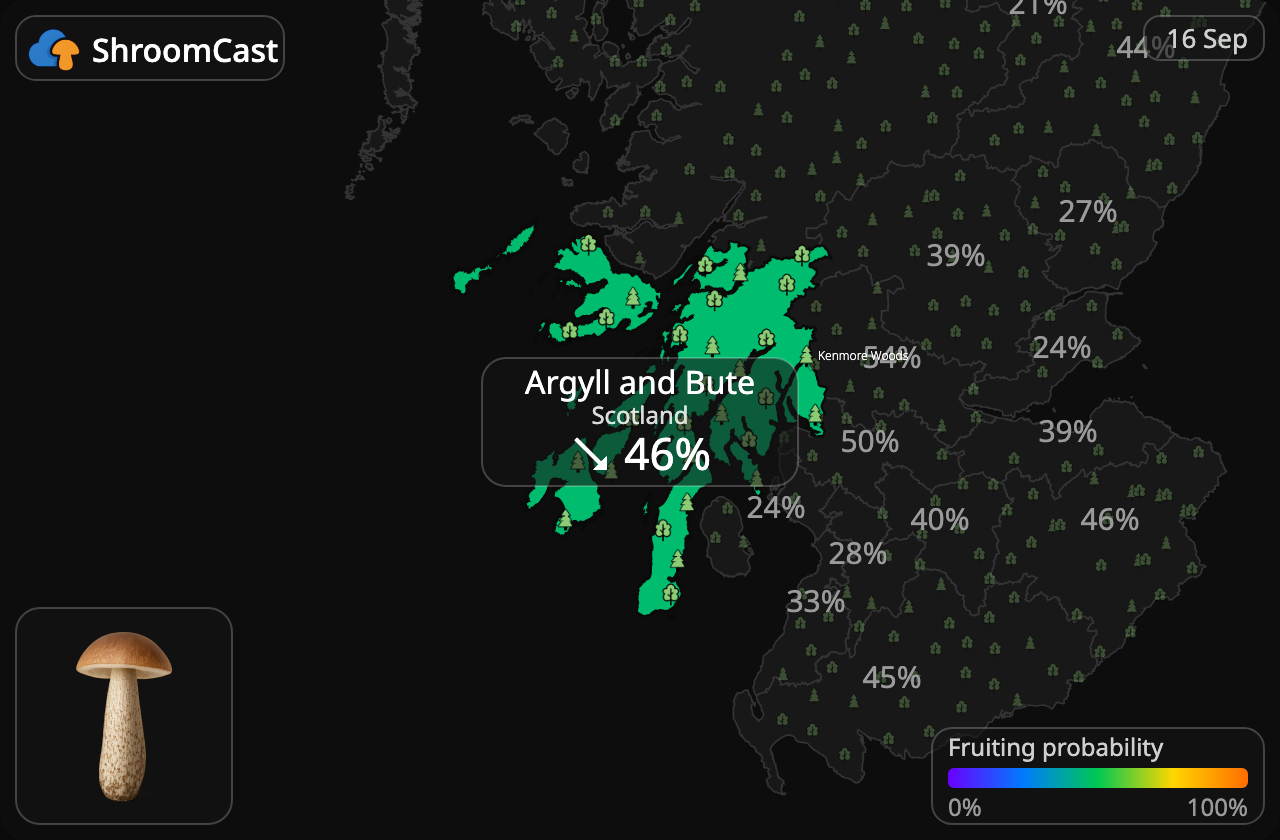 Koźlarz Argyll and Bute