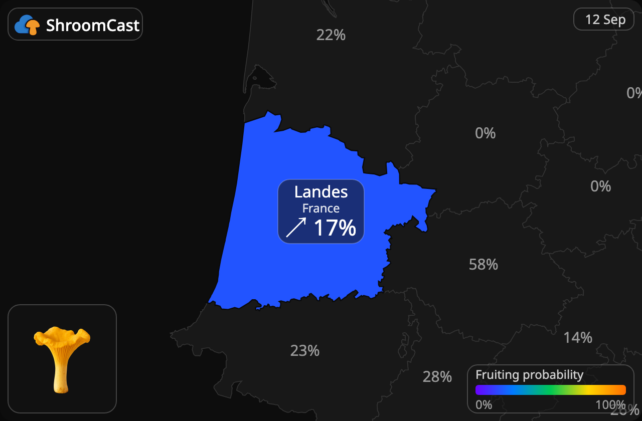 Finferlo Landes