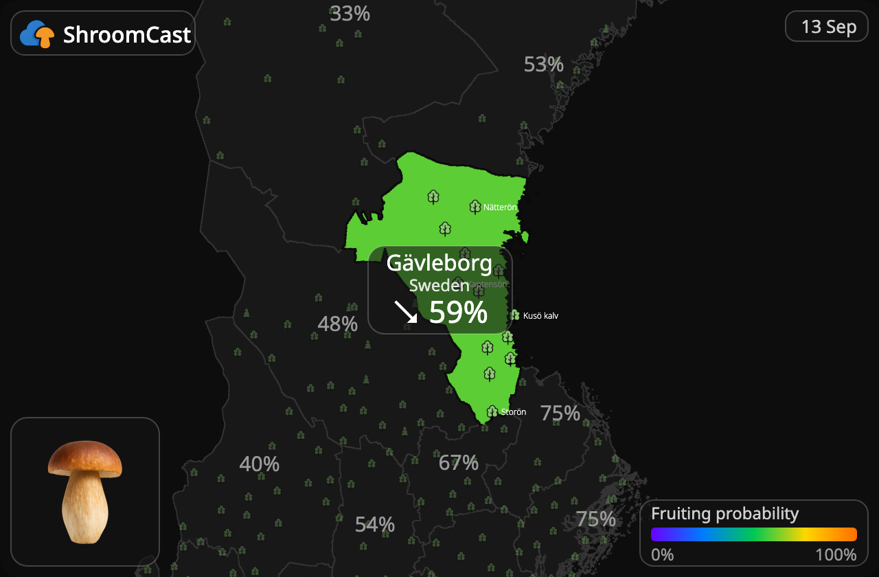 Herkkutatti Gävleborg