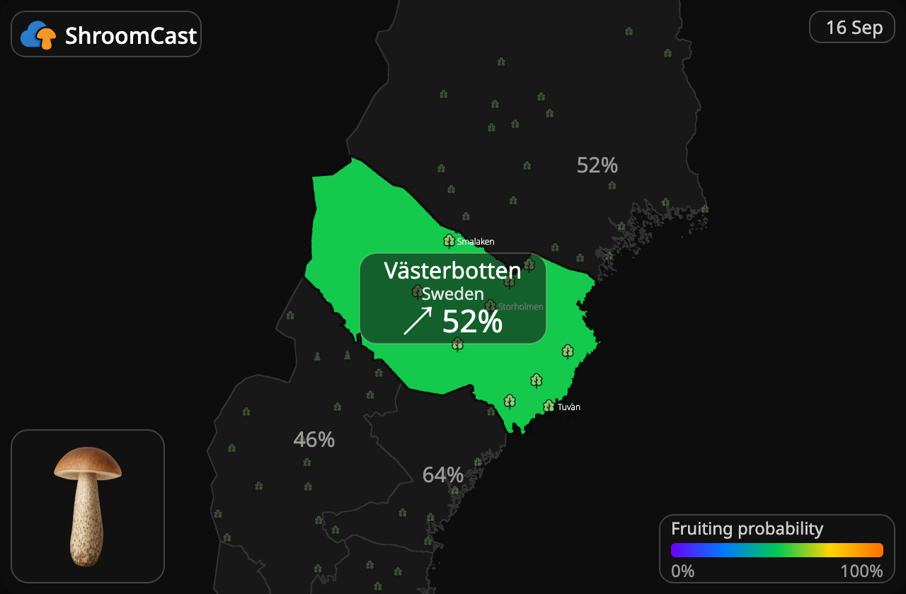 Koźlarz Västerbotten