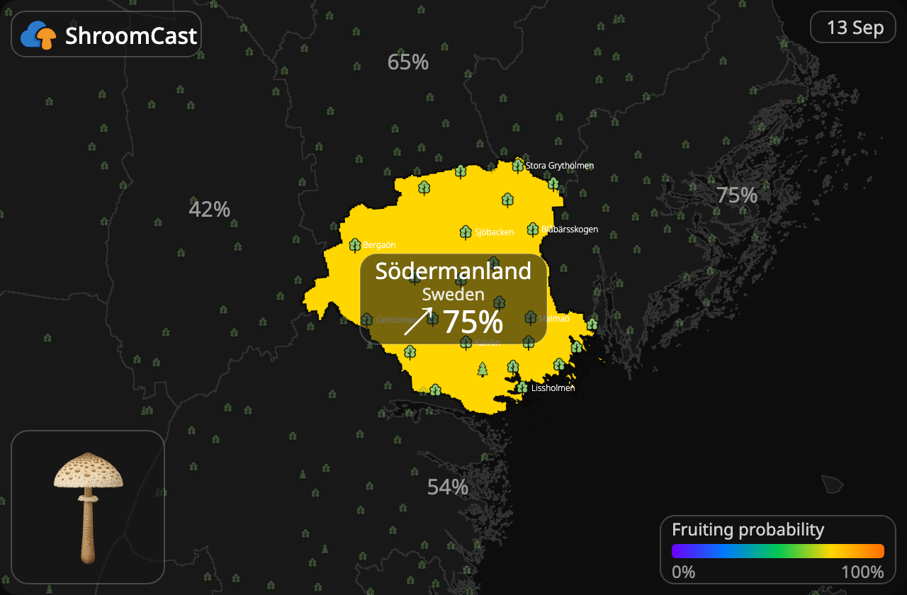 Parasolhat Södermanland