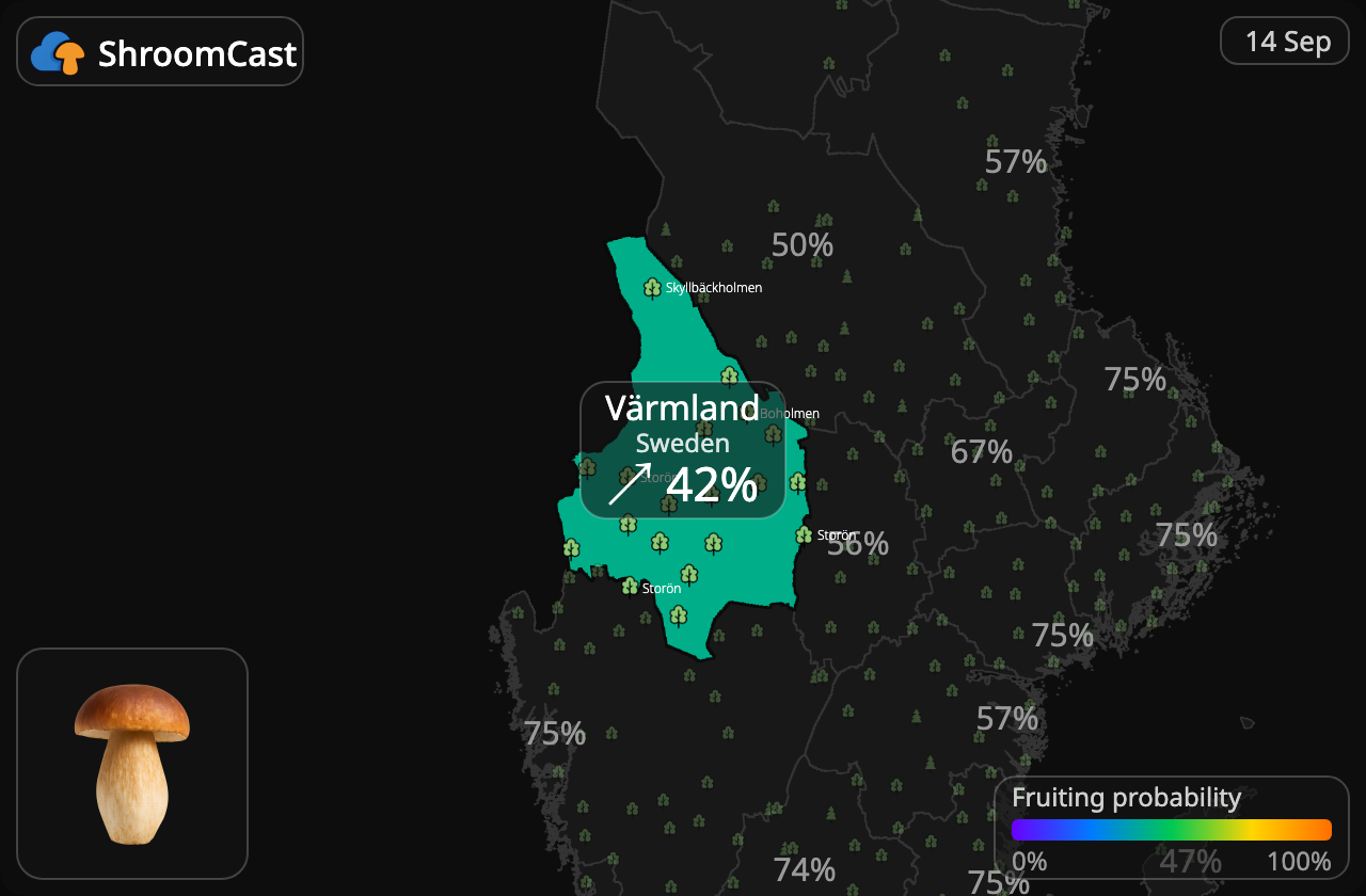 Cèpe Värmland