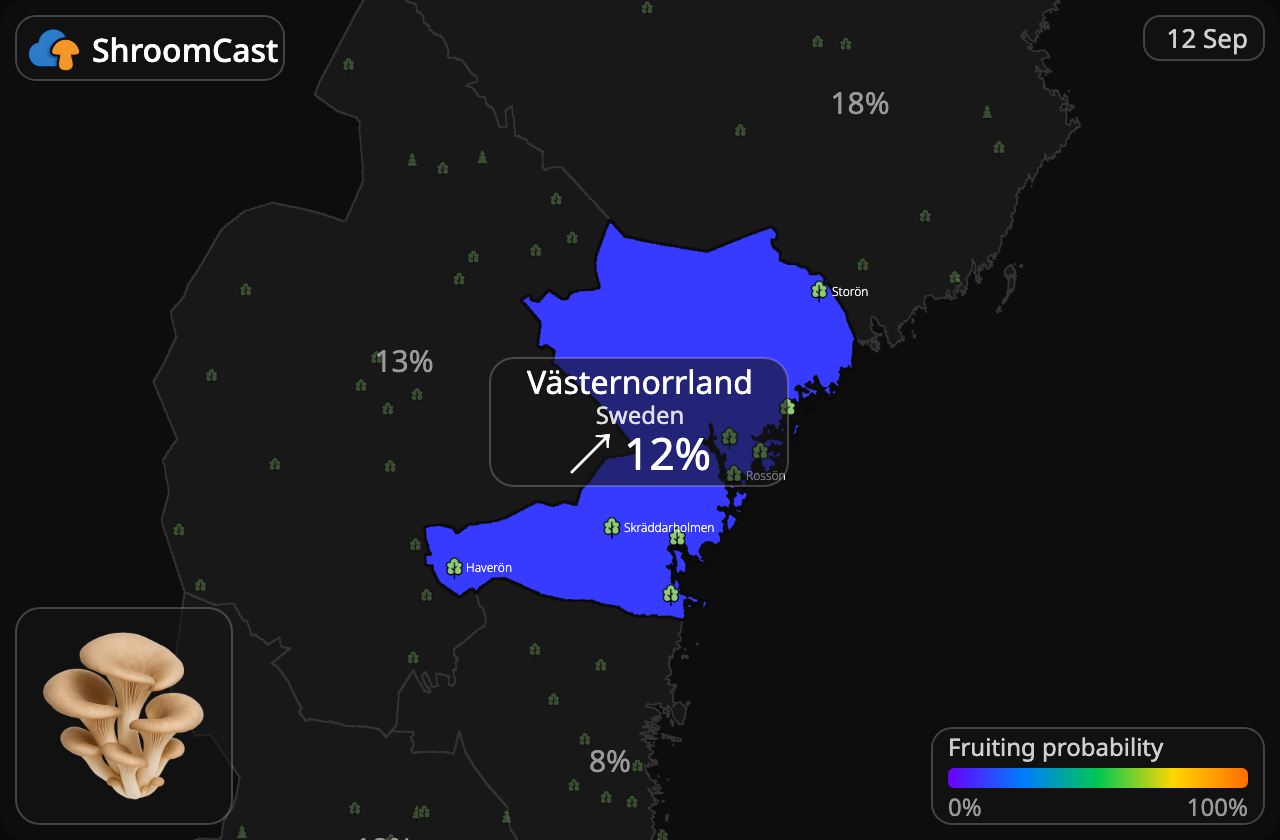 Oesterzwam Västernorrland