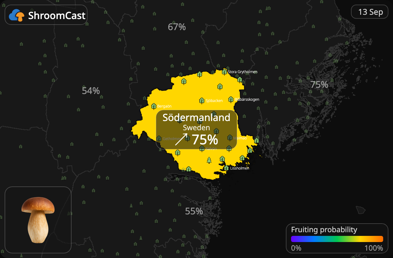 Steinsopp Södermanland