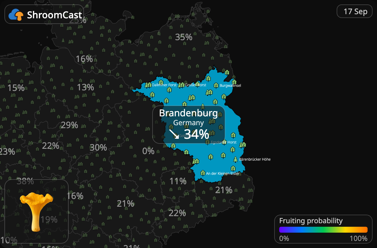 Kurka Brandenburg