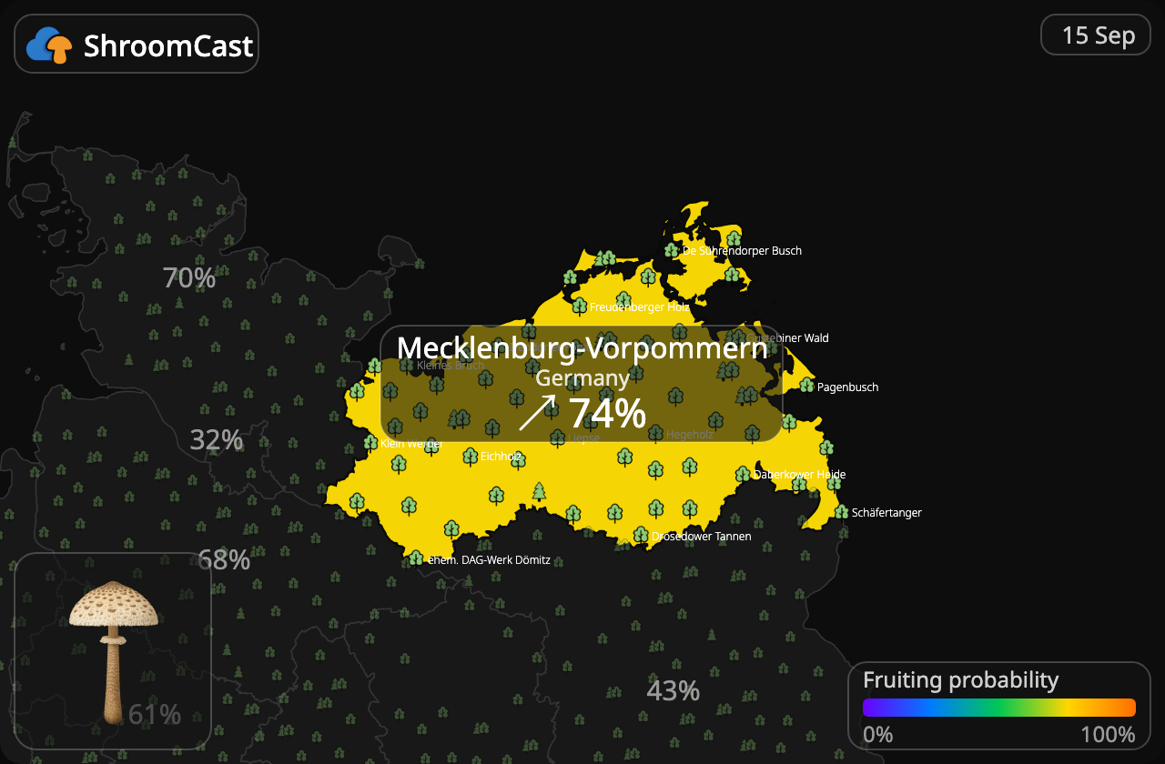 Kania Mecklenburg-Vorpommern