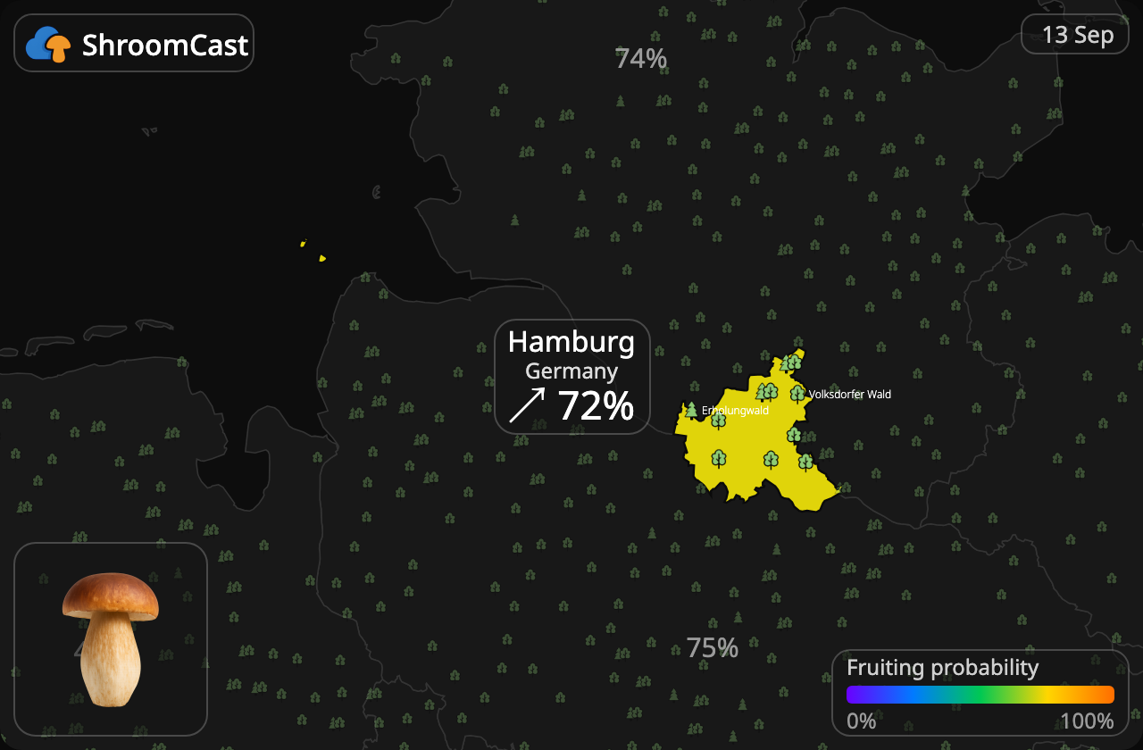 Karljohan Hamburg
