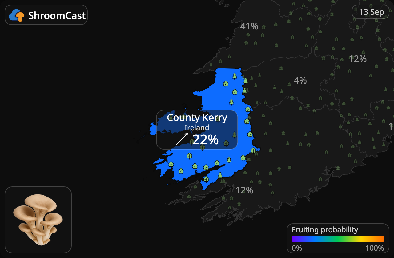 Østershat County Kerry