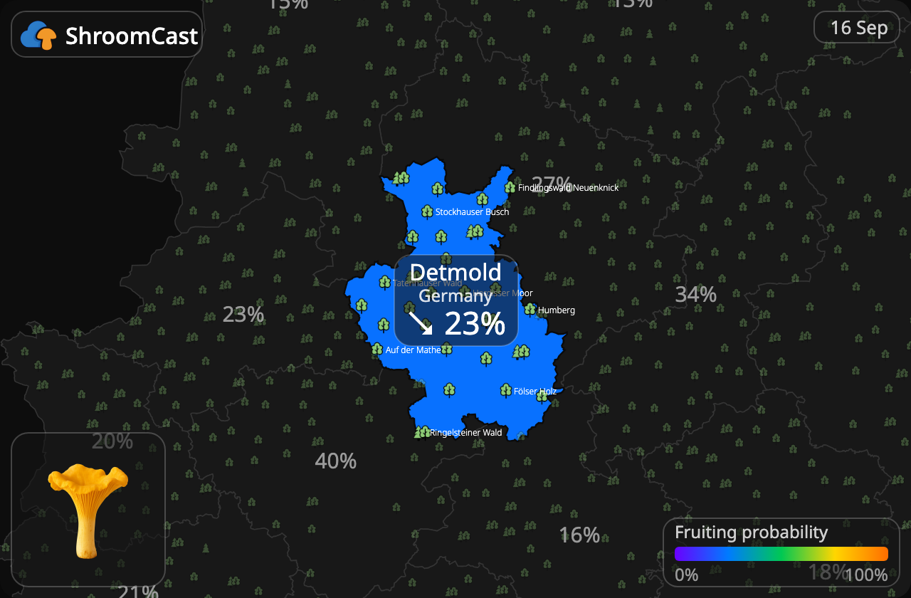 Kurka Detmold