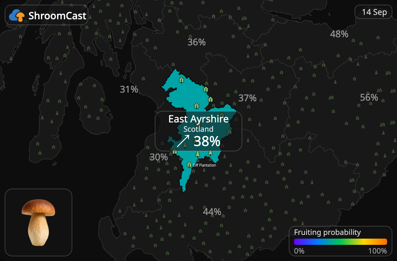 Cèpe East Ayrshire