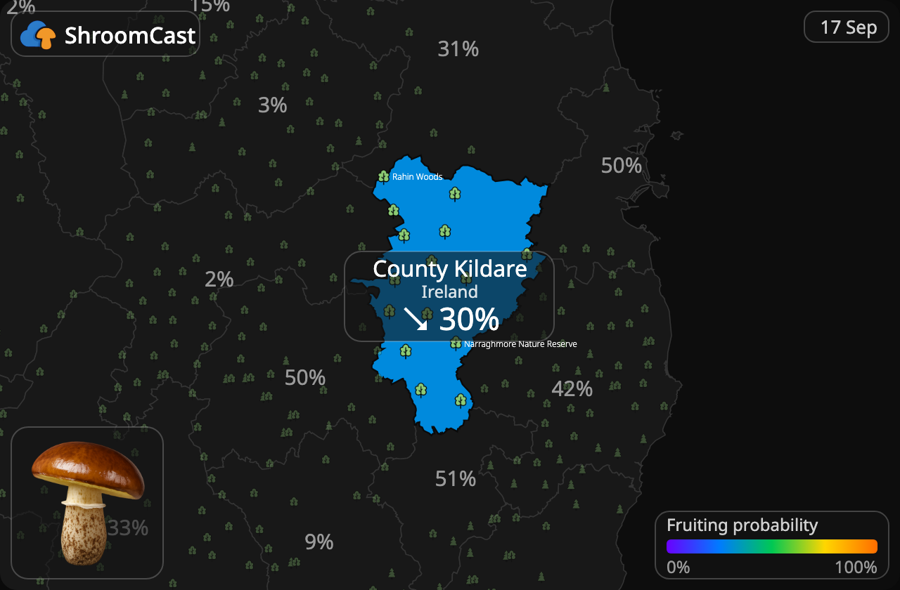 Maślak County Kildare