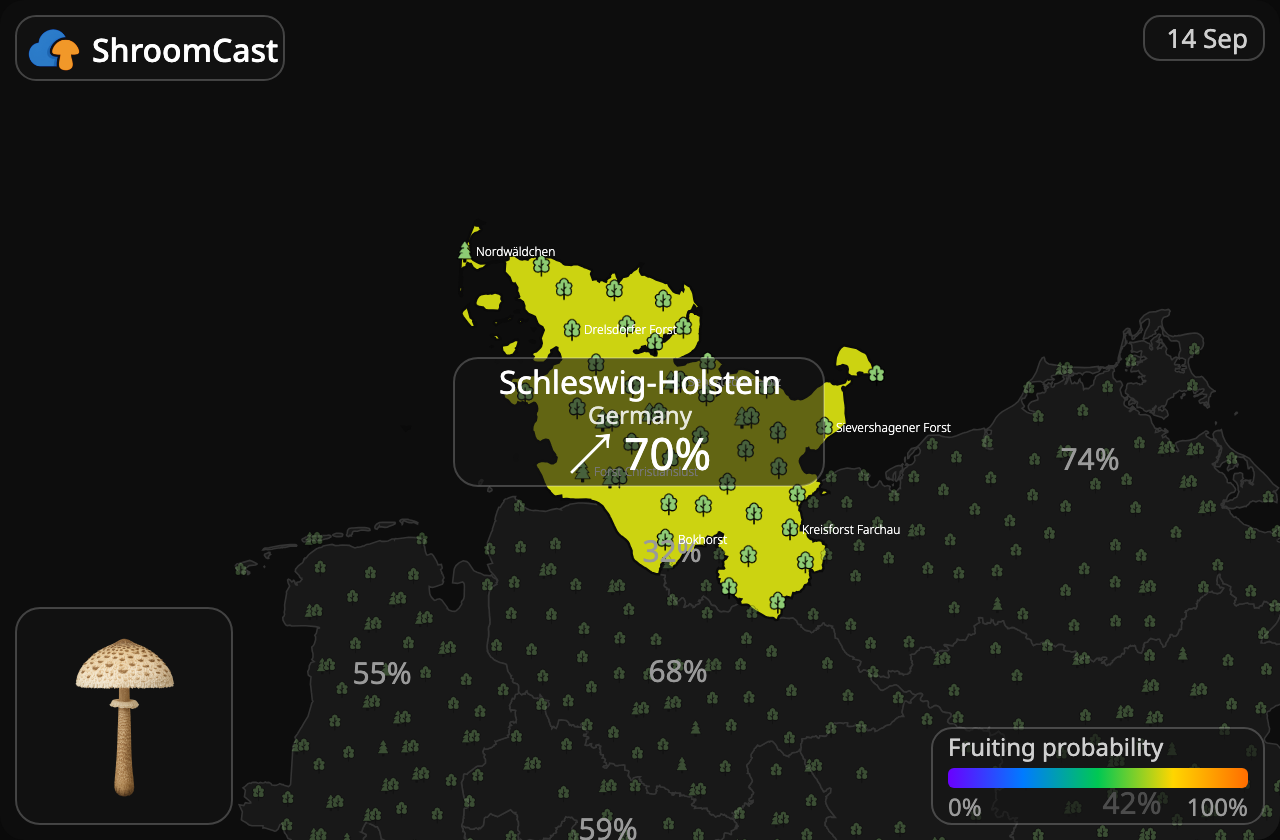 Parasolhat Schleswig-Holstein