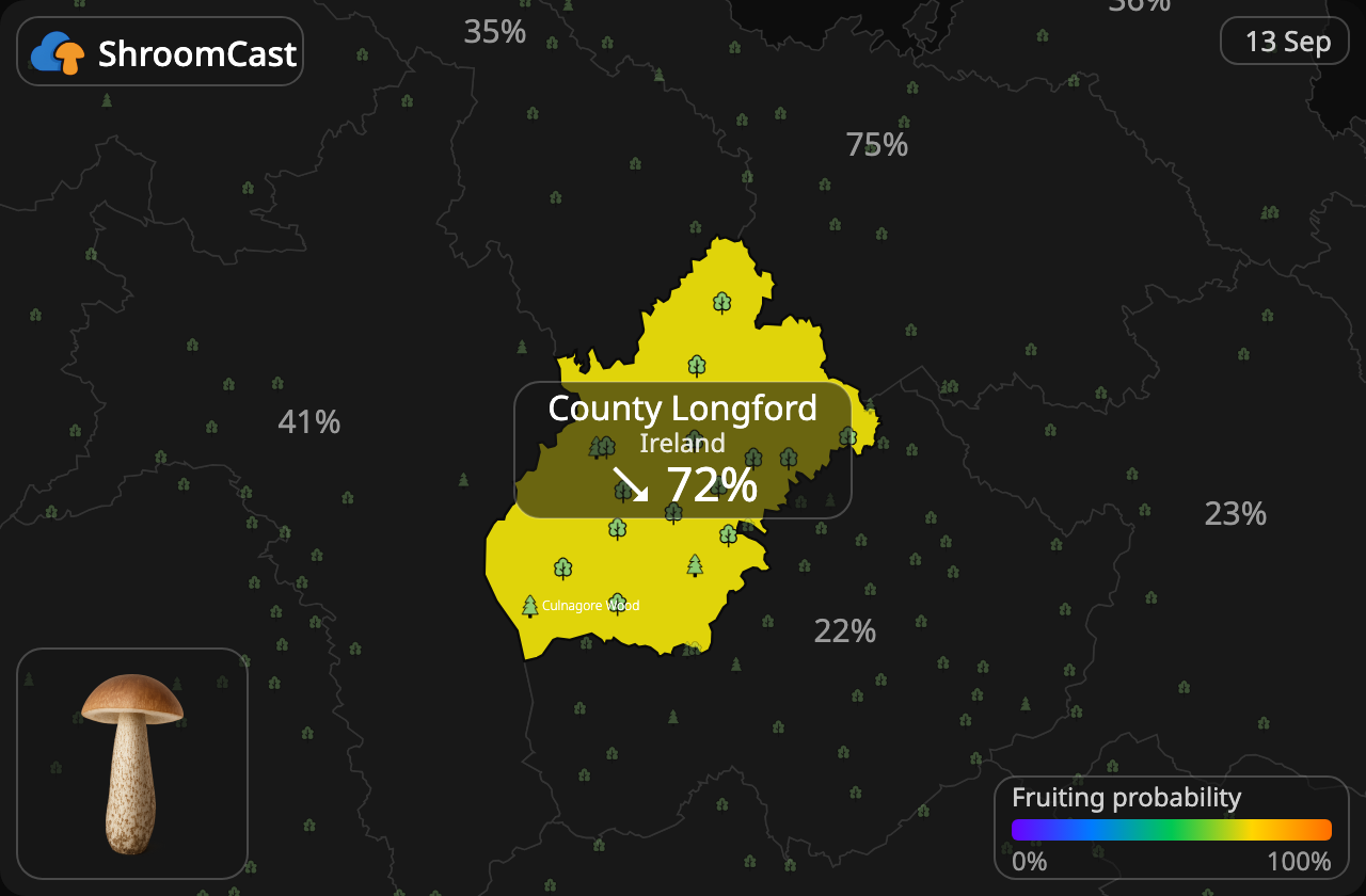 Bolet rude County Longford