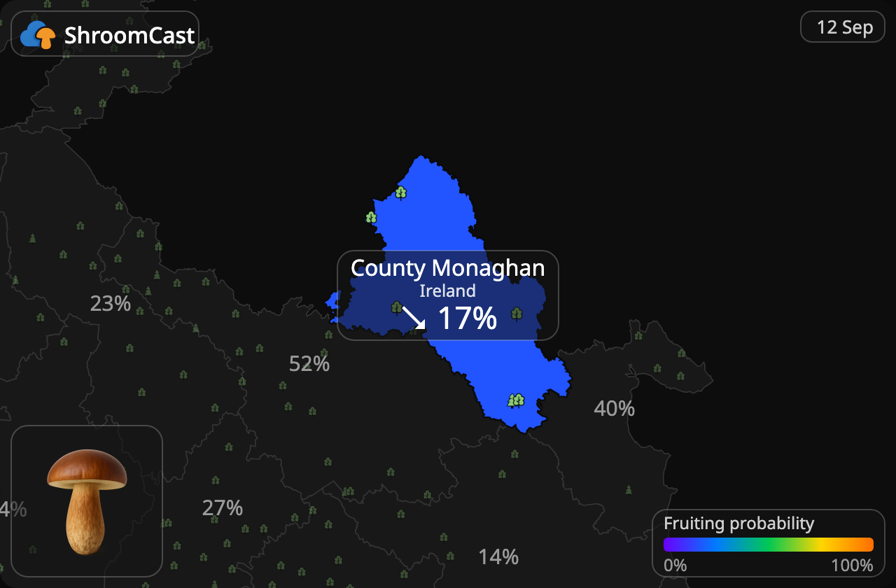Maronenröhrling County Monaghan