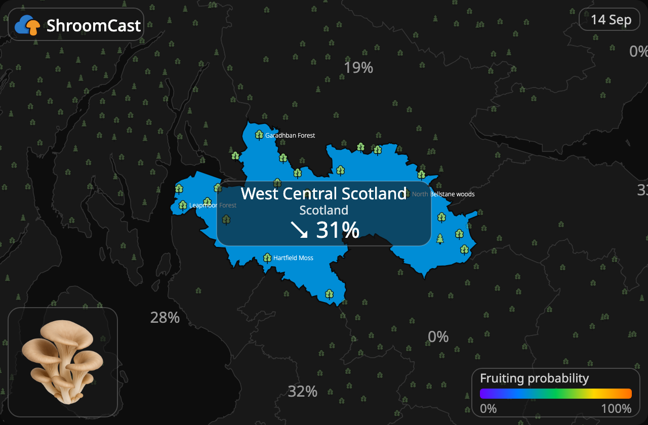 Østershat West Central Scotland