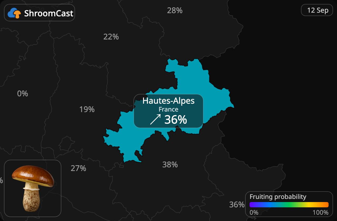 Voitatti Hautes-Alpes