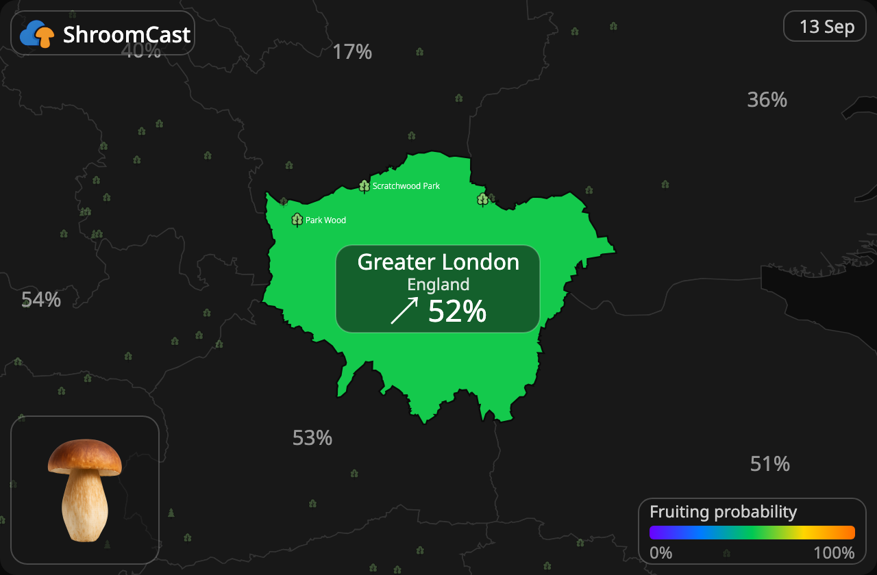 Cèpe Greater London