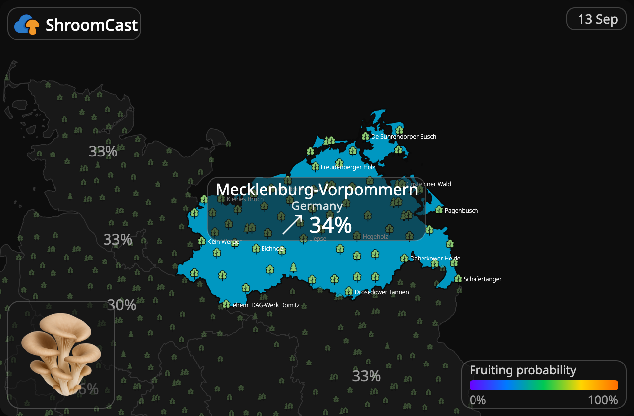 Orecchione Mecklenburg-Vorpommern