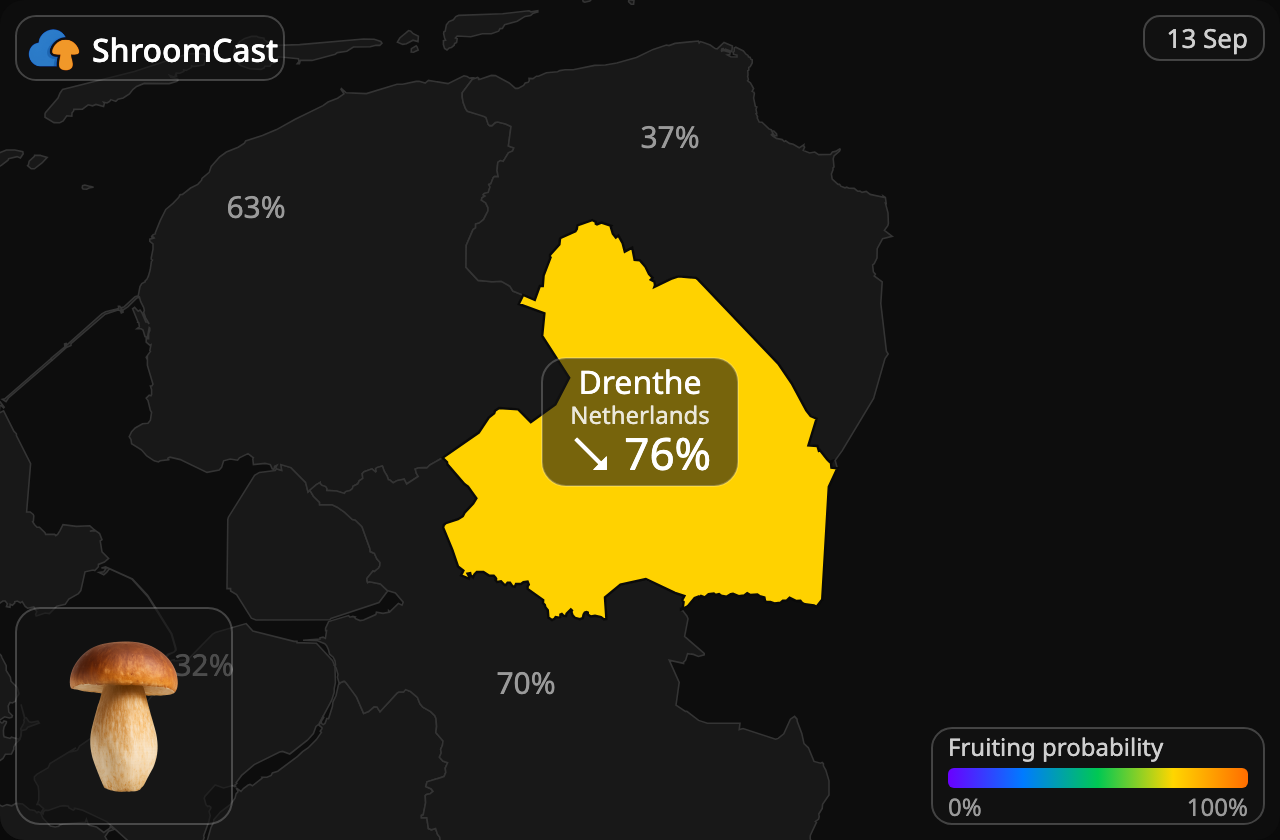 Karljohan Drenthe