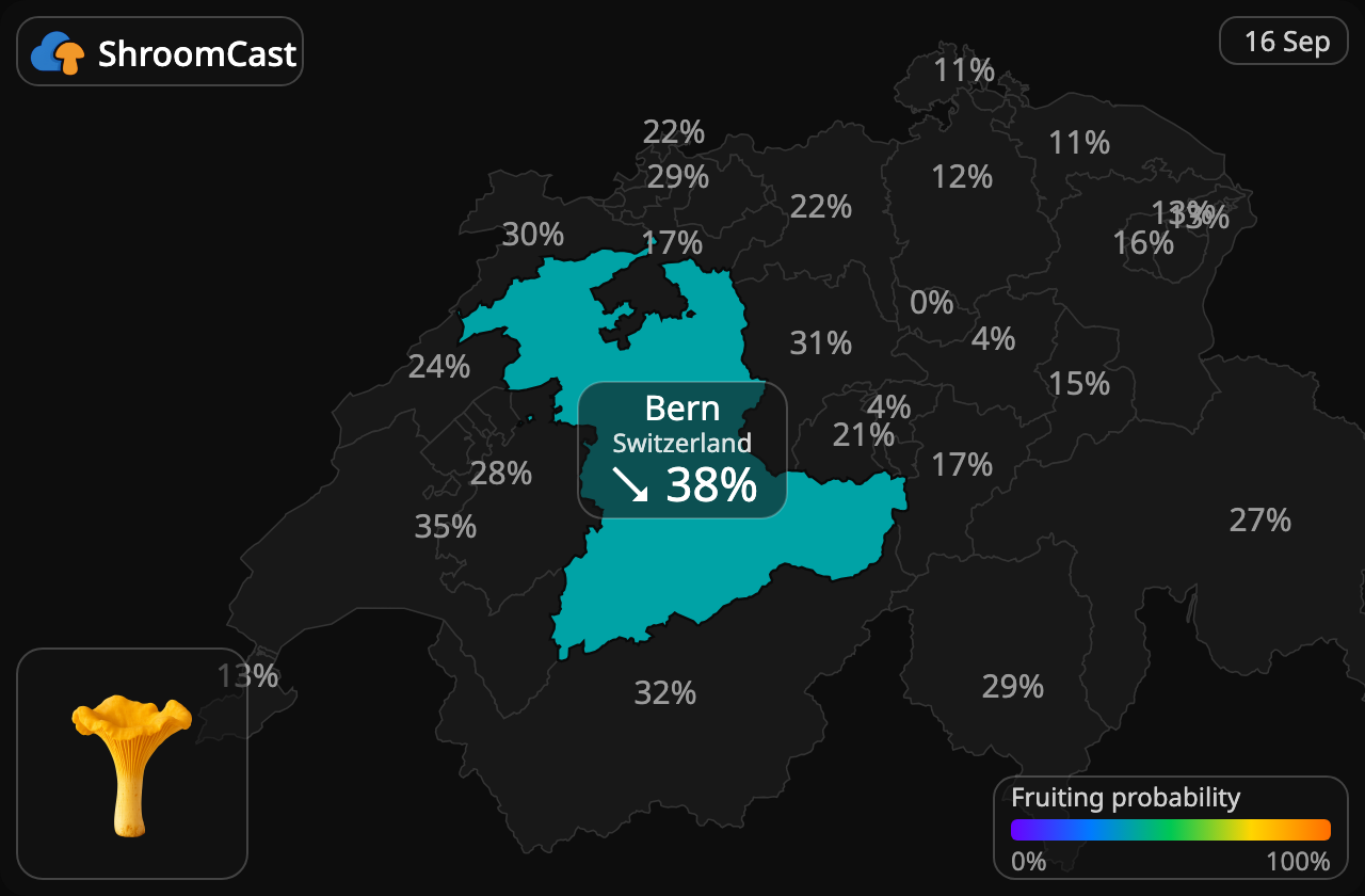 Kurka Bern