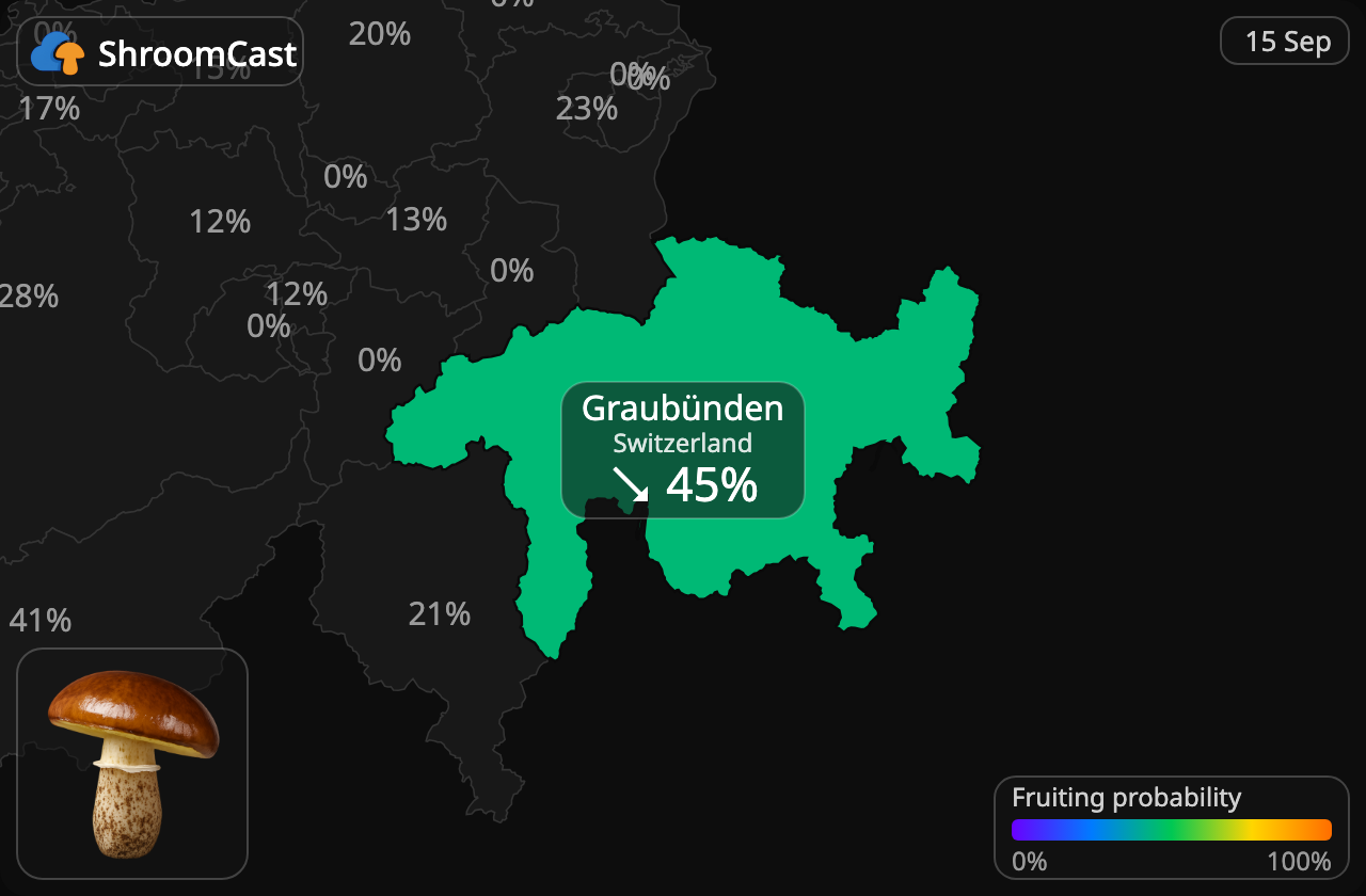 Maślak Graubünden
