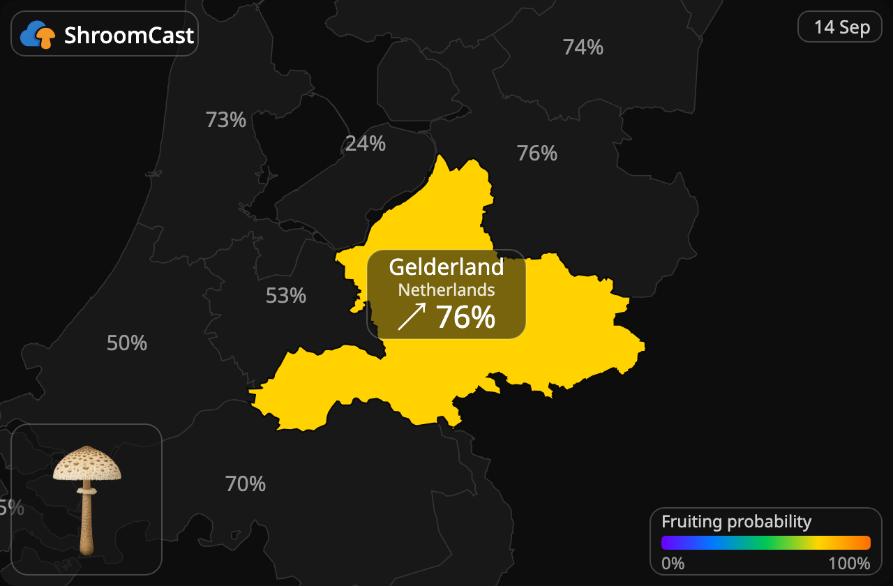Coulemelle Gelderland