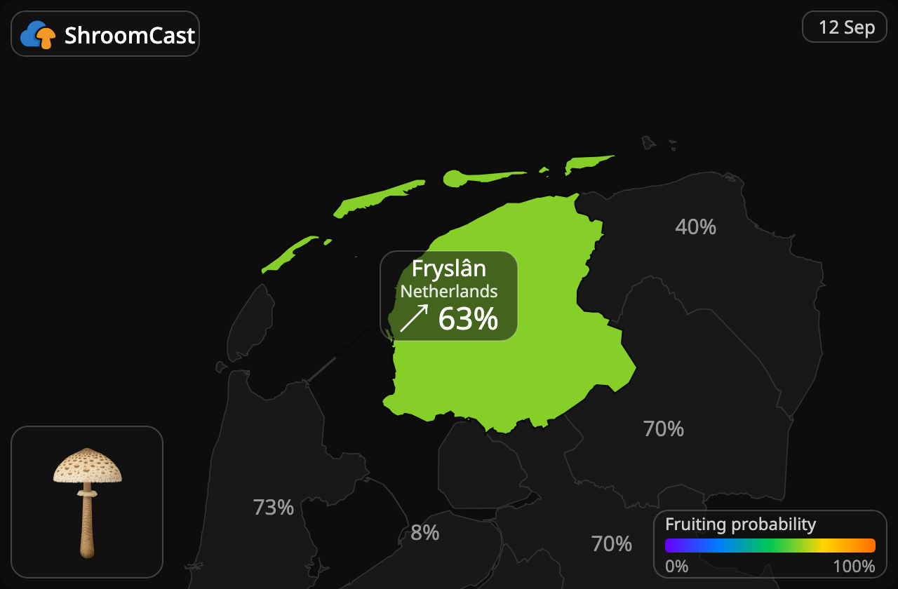 Stolt fjällskivling Fryslân