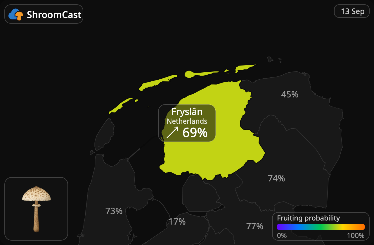 Coulemelle Fryslân