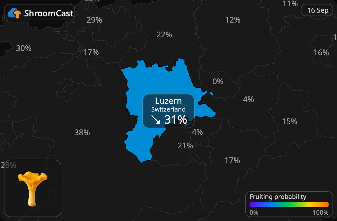 Kurka Luzern