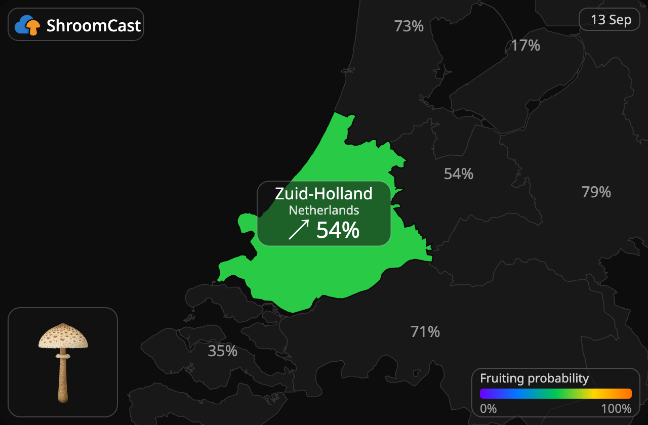 Coulemelle Zuid-Holland