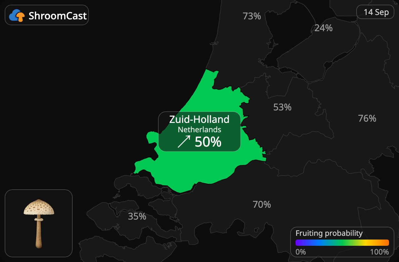 Coulemelle Zuid-Holland