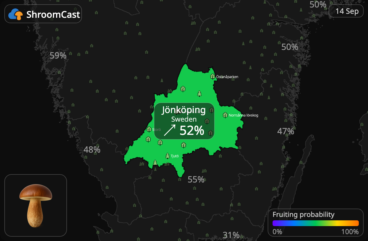 Brun rørhat Jönköping