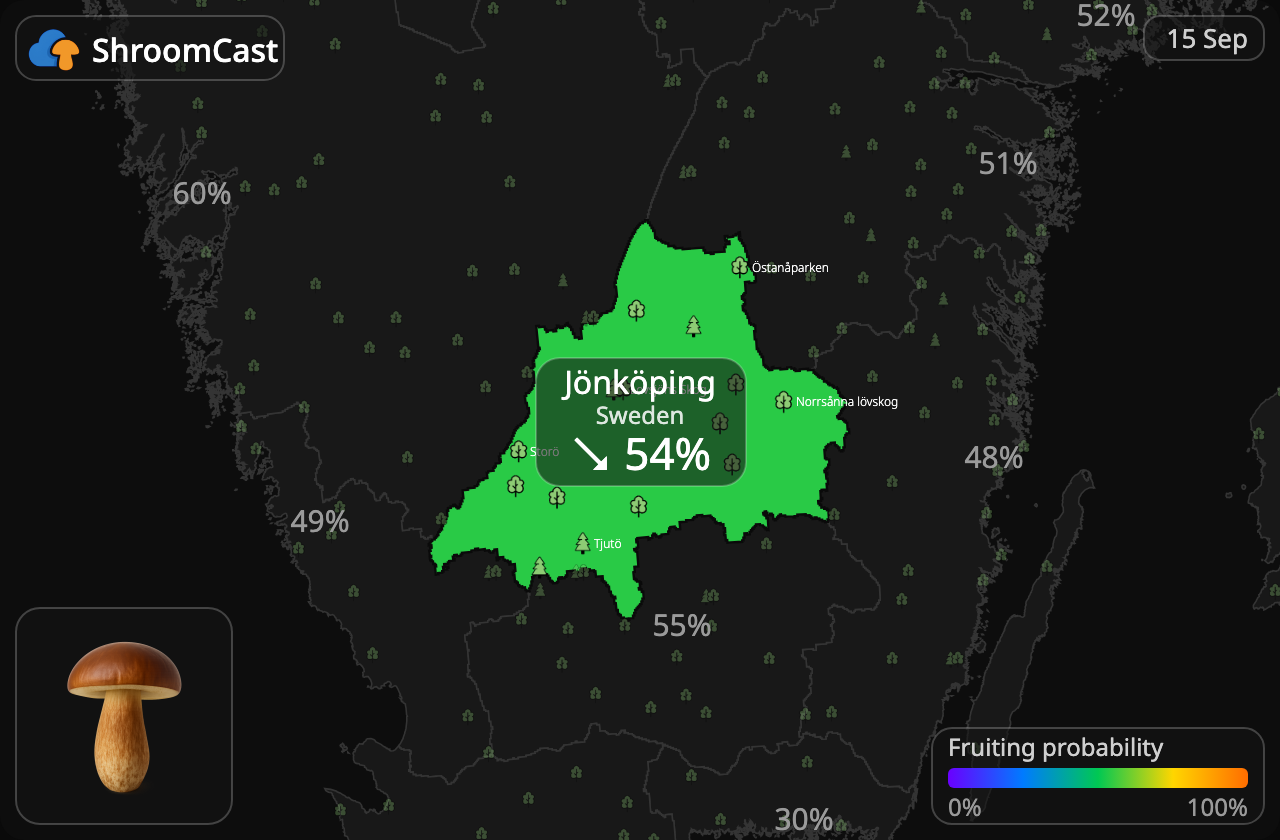 Podgrzybek Jönköping