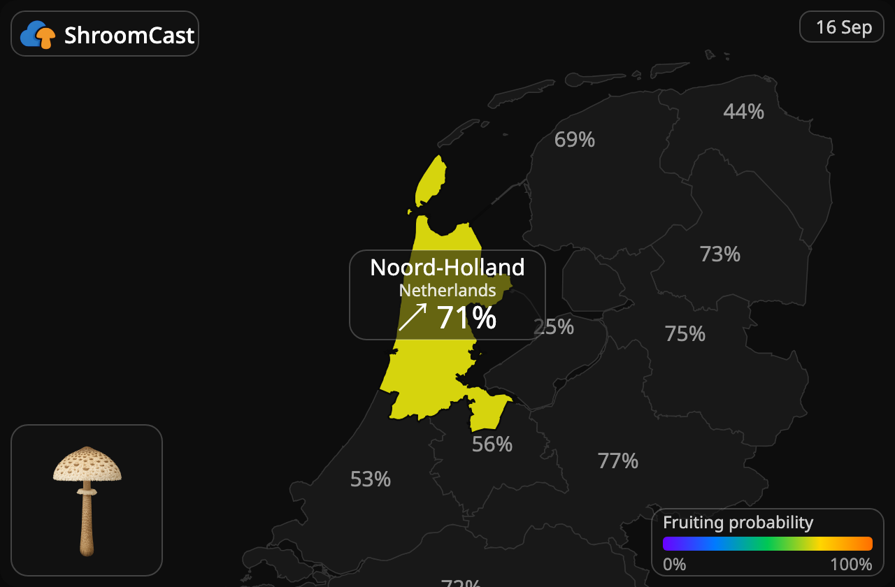 Kania Noord-Holland