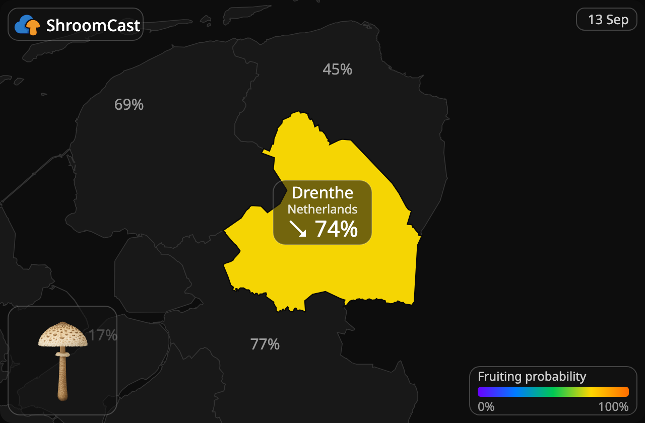 Coulemelle Drenthe