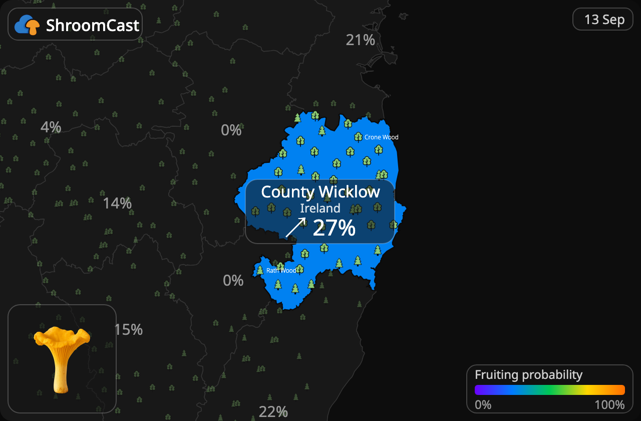 Kantarelli County Wicklow