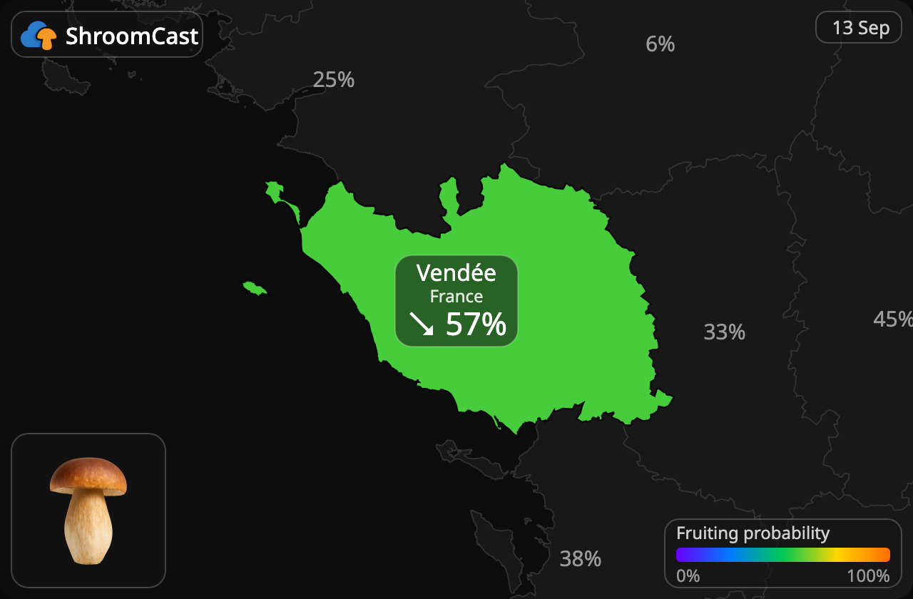 Cèpe Vendée
