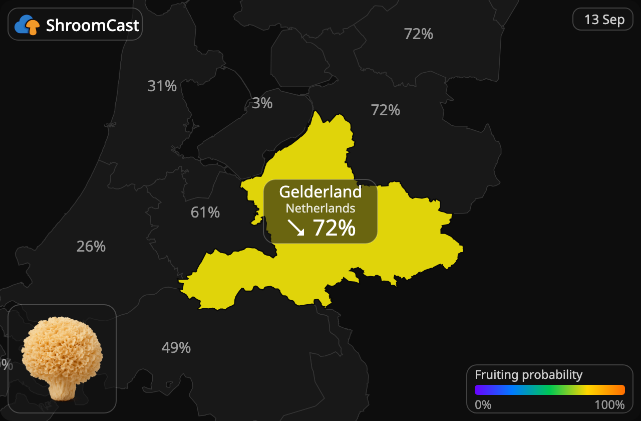Grote sponszwam Gelderland