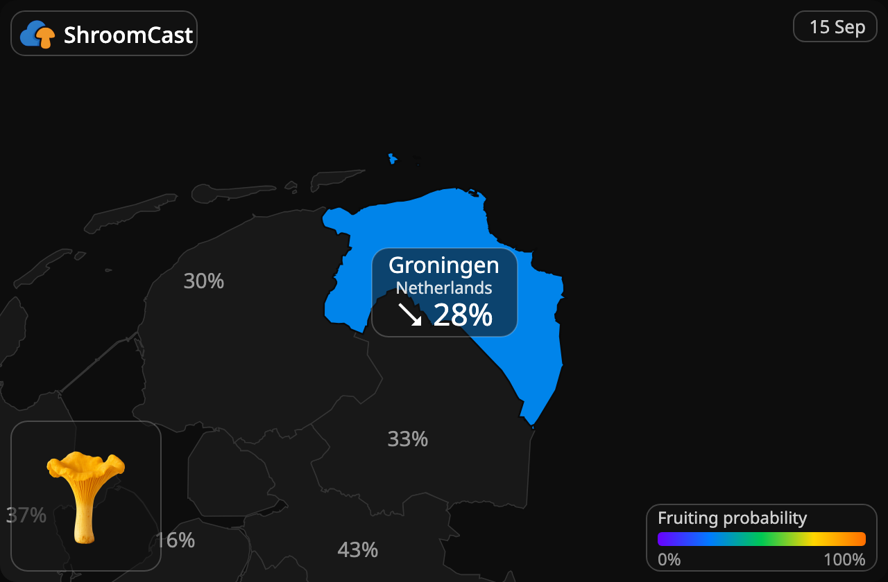 Kurka Groningen