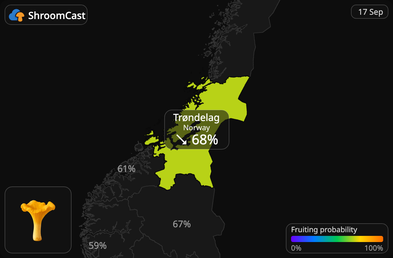 Kurka Trøndelag
