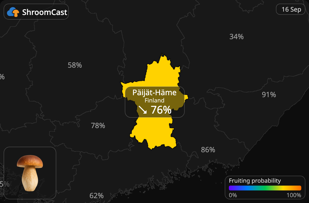 Prawdziwek Päijät-Häme