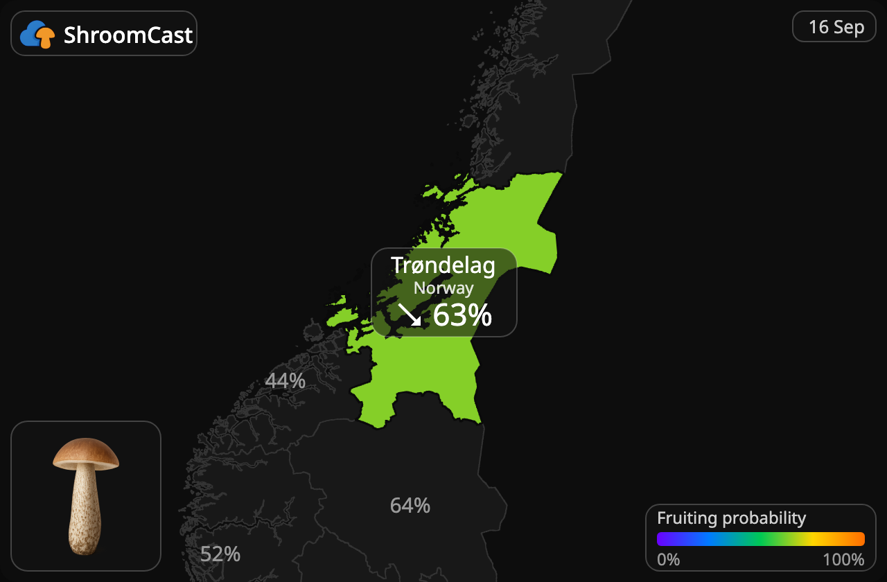 Koźlarz Trøndelag