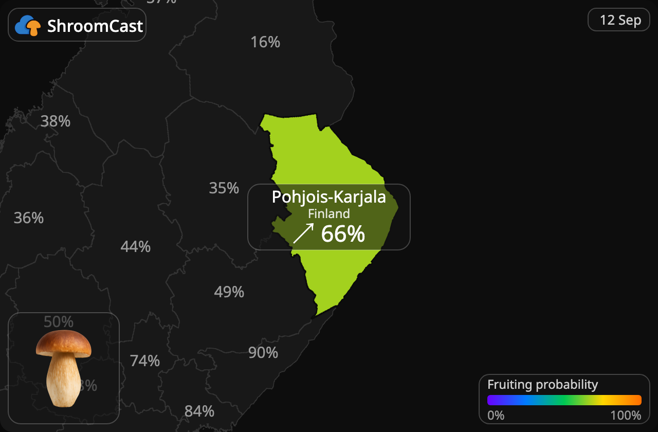 Білий гриб Pohjois-Karjala