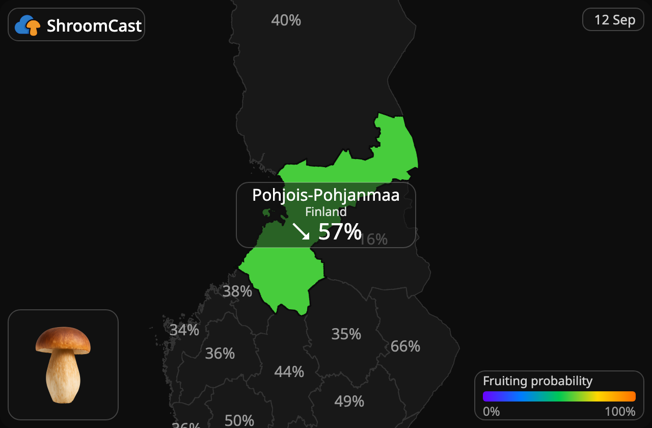 Cèpe Pohjois-Pohjanmaa