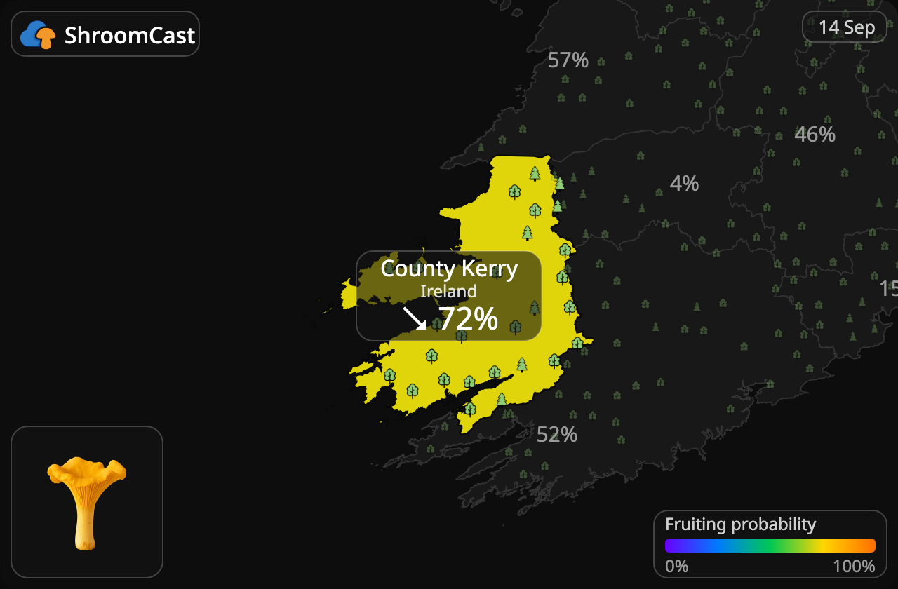 Kantarell County Kerry