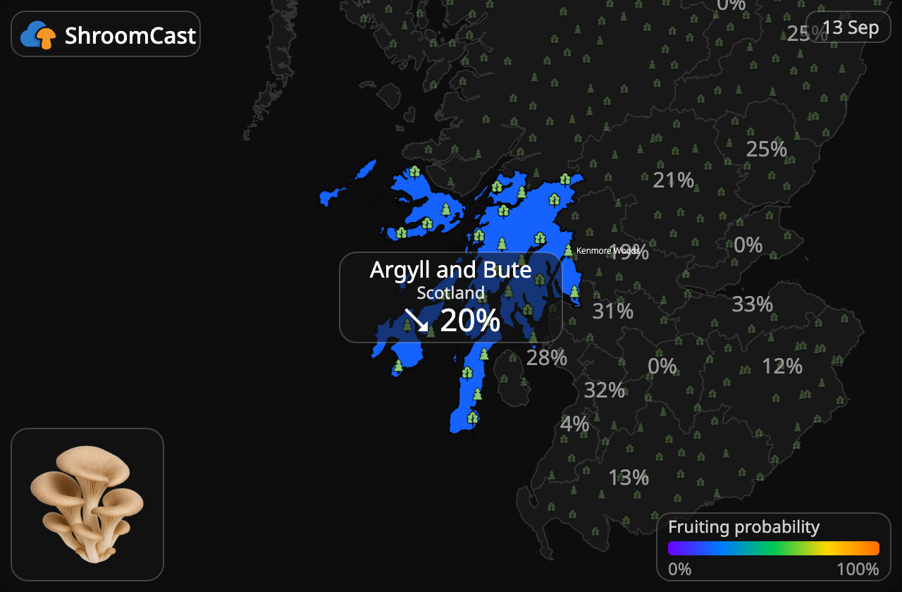 Oyster Argyll and Bute
