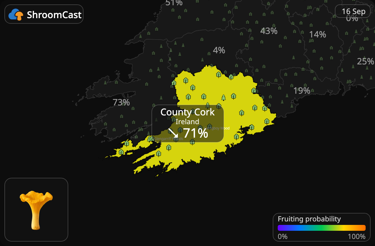 Kurka County Cork