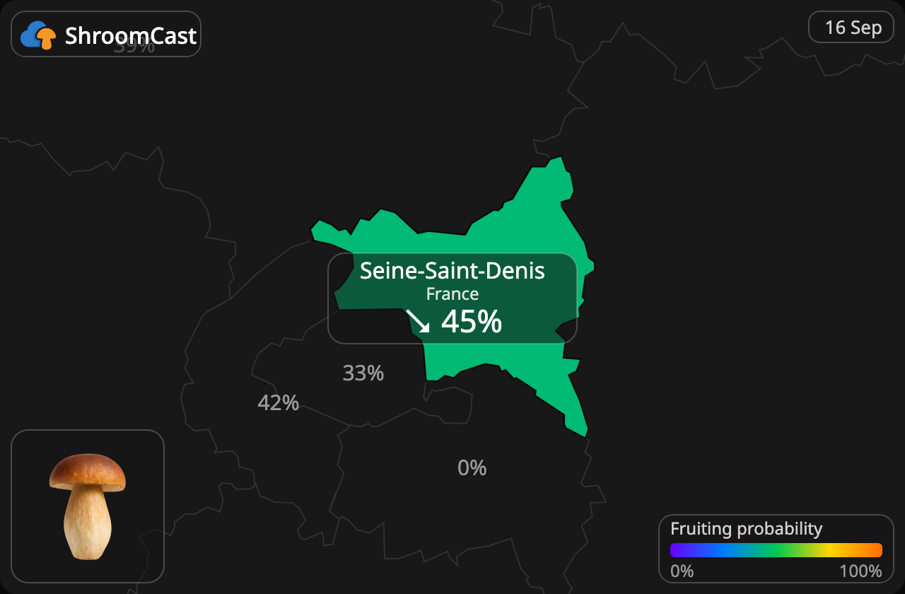 Prawdziwek Seine-Saint-Denis