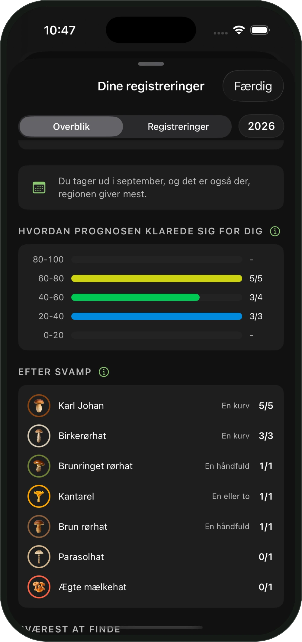 Hvordan prognosen klarede sig for dig