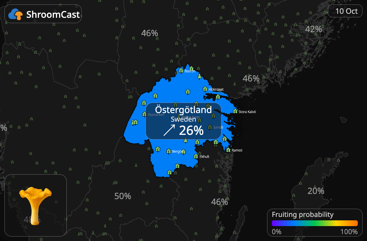 Rebozuelo Östergötland